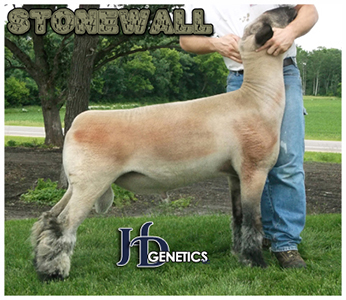 Stonewall