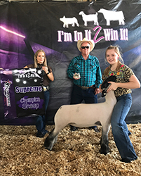 Andresen Winners